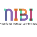 NIBI
